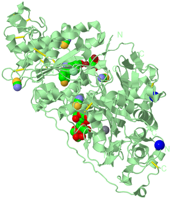Image Biological Unit 2