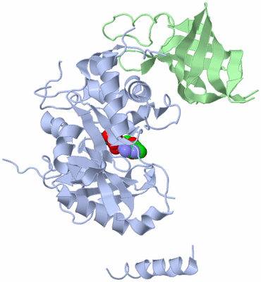 Image Asym./Biol. Unit