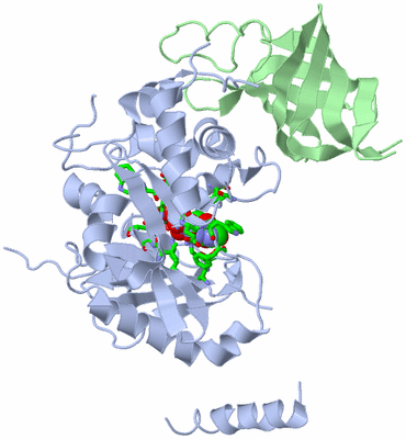 Image Asym./Biol. Unit - sites