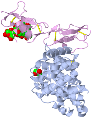 Image Biological Unit 1