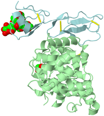 Image Biological Unit 2