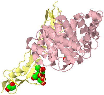 Image Biological Unit 3