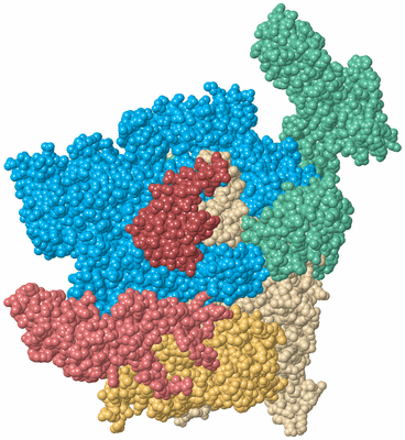 Image Biological Unit 2