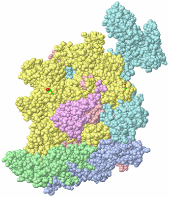 Image Biol. Unit 1 - sites