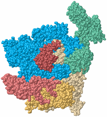 Image Biological Unit 2