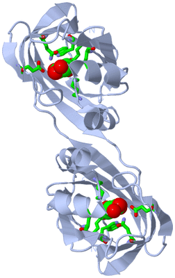 Image Biol. Unit 1 - sites