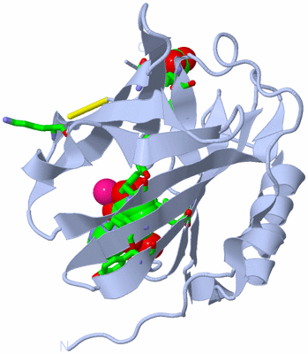 Image Biol. Unit 1 - sites