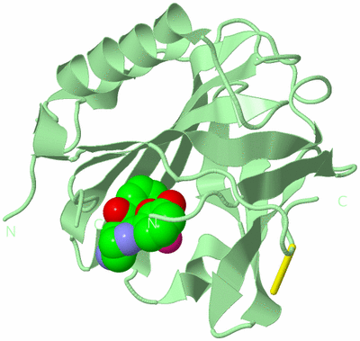 Image Biological Unit 2