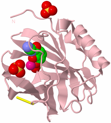 Image Biological Unit 3