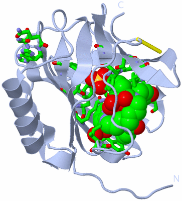 Image Biol. Unit 1 - sites