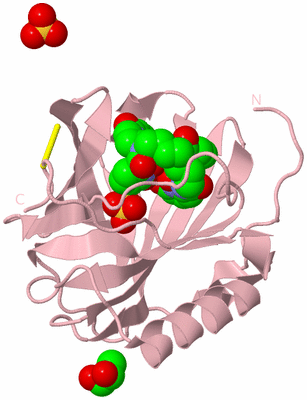 Image Biological Unit 3