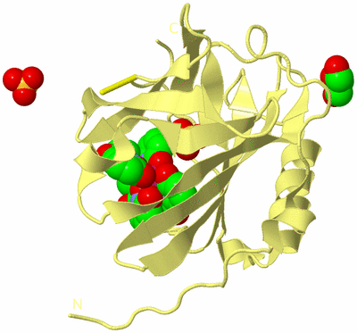 Image Biological Unit 4