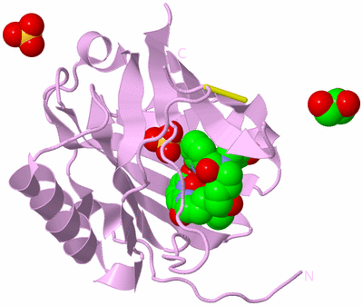 Image Biological Unit 5