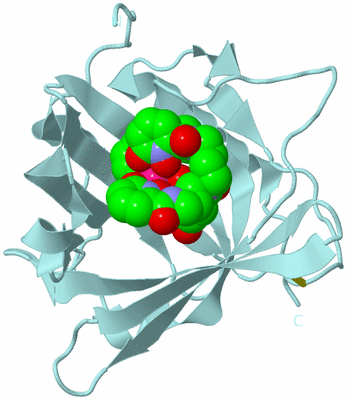 Image Biological Unit 6