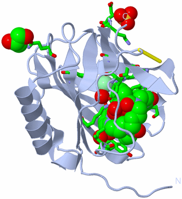 Image Biol. Unit 1 - sites