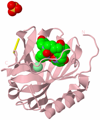 Image Biological Unit 3