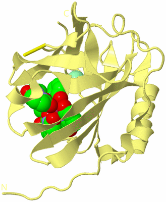 Image Biological Unit 4