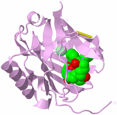 Image Biological Unit 5