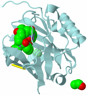 Image Biological Unit 6