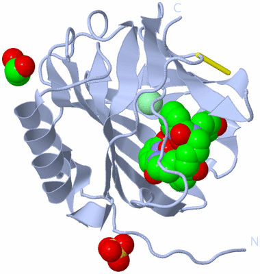 Image Biological Unit 1