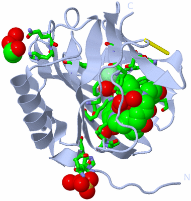 Image Biol. Unit 1 - sites