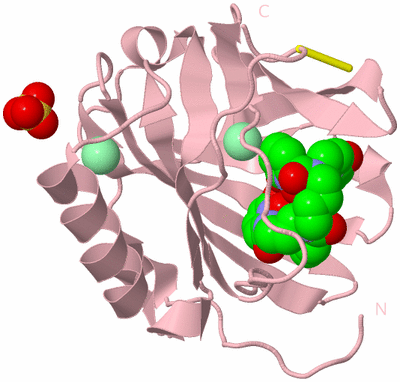 Image Biological Unit 3