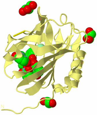 Image Biological Unit 4