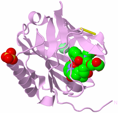 Image Biological Unit 5