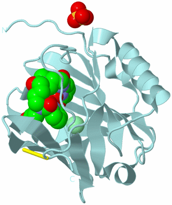 Image Biological Unit 6