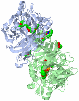 Image Asym./Biol. Unit