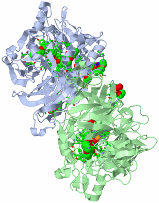 Image Asym./Biol. Unit - sites