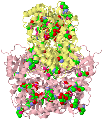 Image Biological Unit 2