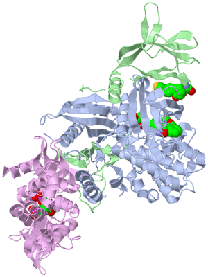 Image Biological Unit 1