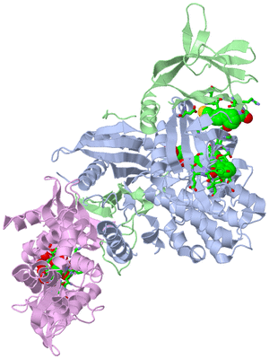 Image Biol. Unit 1 - sites