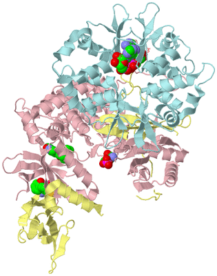 Image Biological Unit 2