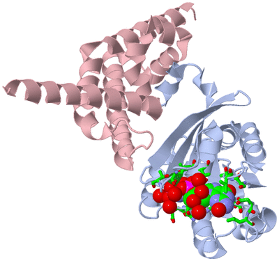 Image Biol. Unit 1 - sites