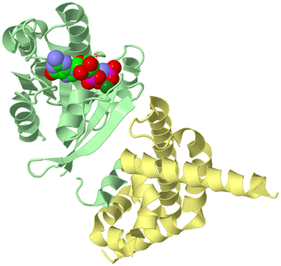 Image Biological Unit 2