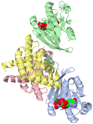 Image Asym./Biol. Unit