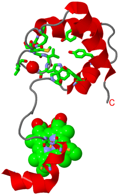 Image Asym. Unit - sites