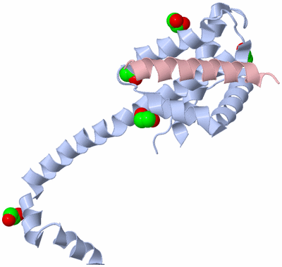 Image Asymmetric Unit