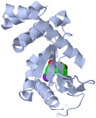 Image Biological Unit 1