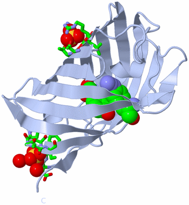 Image Biol. Unit 1 - sites