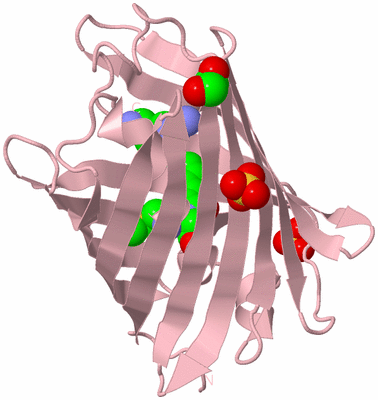 Image Biological Unit 3