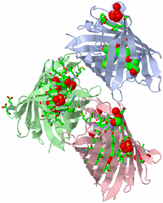 Image Asym. Unit - sites