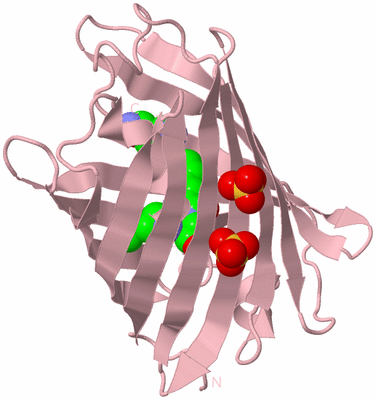 Image Biological Unit 3