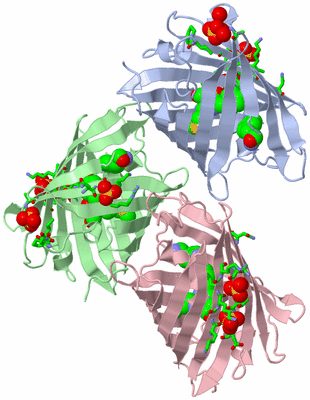 Image Asym. Unit - sites