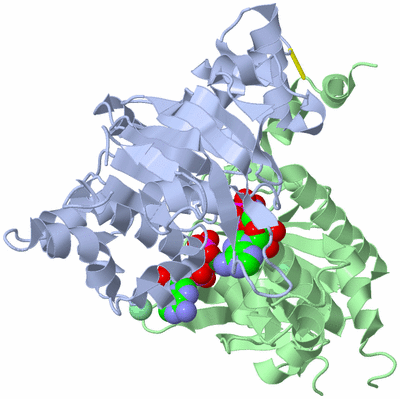 Image Asym./Biol. Unit