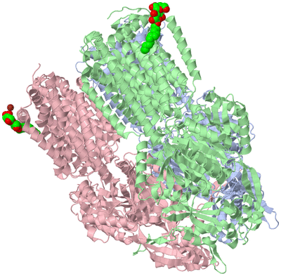 Image Biological Unit 1