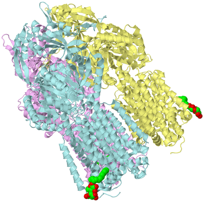 Image Biological Unit 2