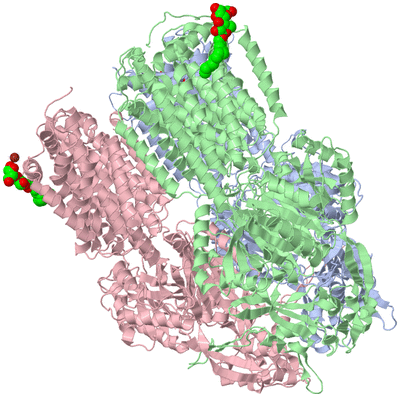 Image Biological Unit 1